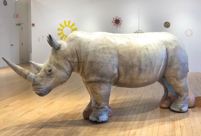 Victoria Fuller: Bring Back The Extinct Northern White Rhino